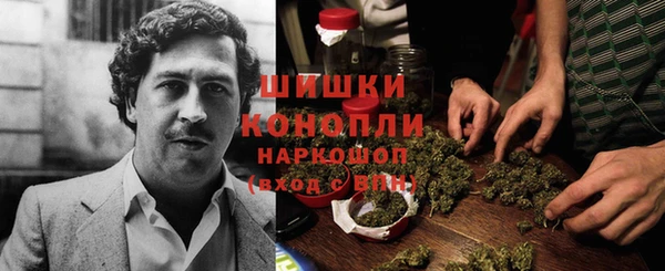 прущий лед Куртамыш