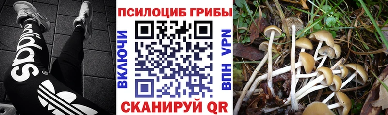Галлюциногенные грибы GOLDEN TEACHER Дегтярск