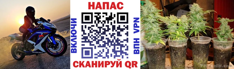 Конопля Ganja  Дегтярск 
